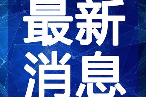 昆明爆料下雪视频最新2020,市民欢声笑语共赏冬日美景
