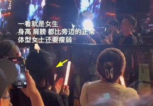 最新绯闻爆料7月份视频,揭秘明星恋情疑云