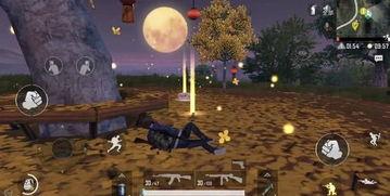 和平精英2024载具最新爆料