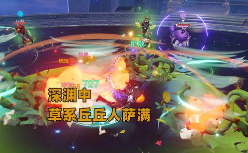 须弥草神最新爆料视频大全,揭秘神秘力量与奇幻冒险