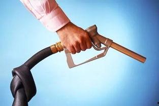 山东大刀爆料最新消息,最新劲爆消息揭秘！