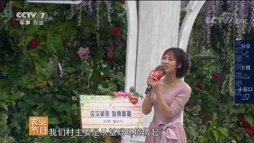 重庆冯阿姨最新爆料视频,最新爆料视频揭秘真相