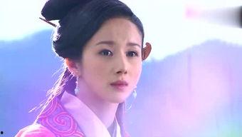 功夫阿九最新爆料,揭秘幕后真相与精彩瞬间